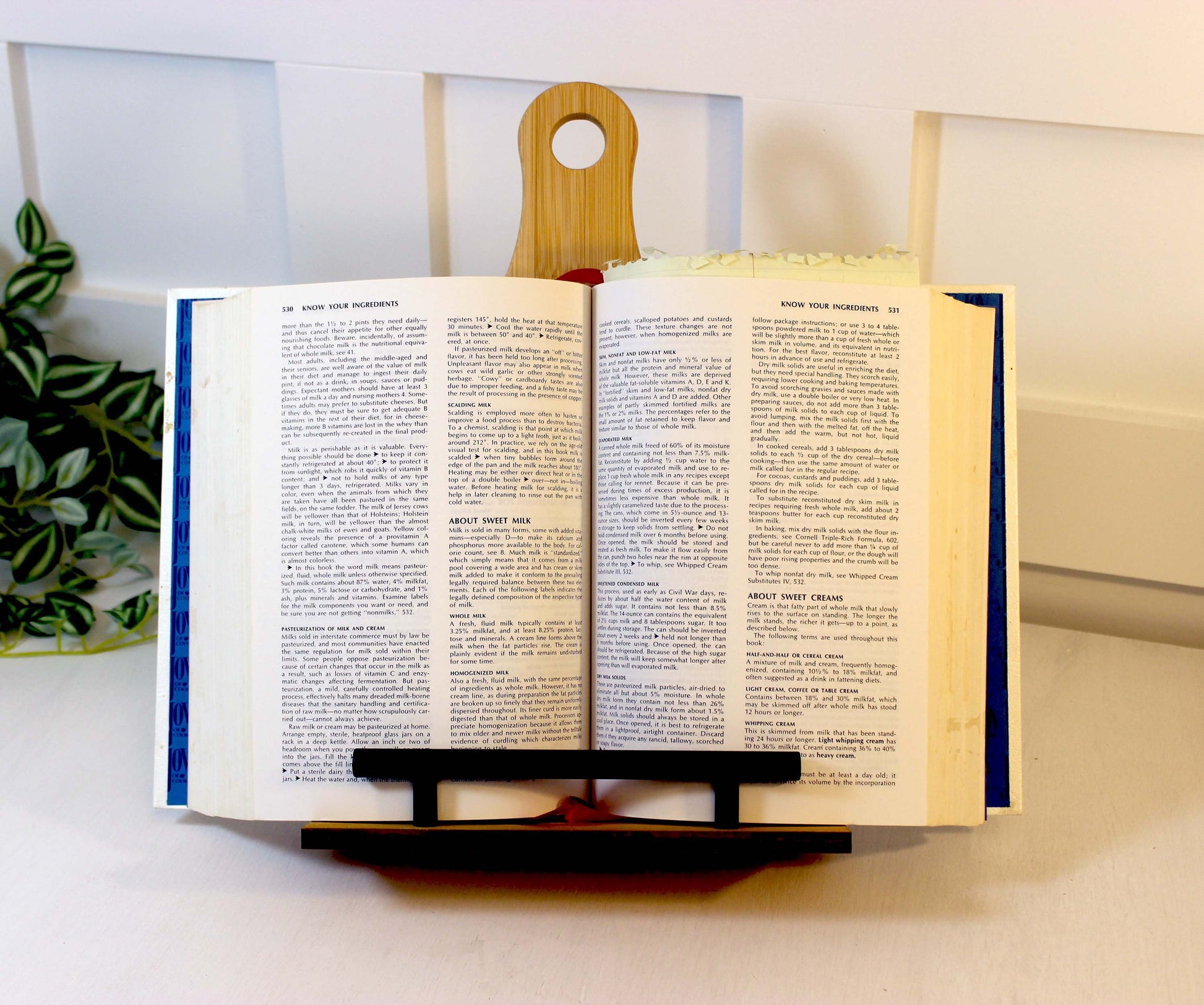 Sunflowers and Butterflies Cookbook Stand for the Kitchen from Environmentally Sustainable Bamboo with Pine Wood Accents to create an Easel